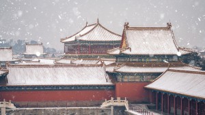 我也不知道选个刷图片